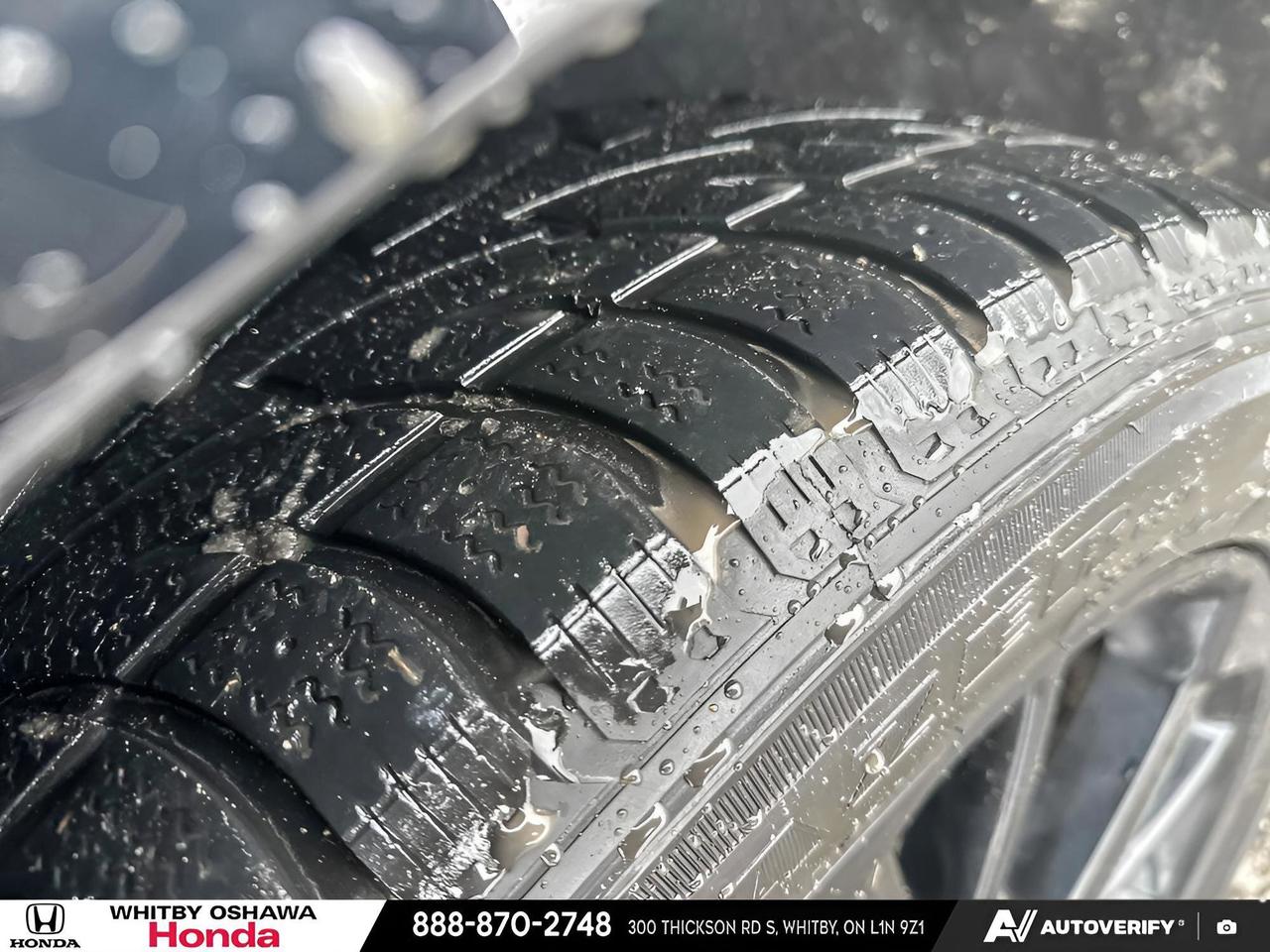 2024 Honda Odyssey Black Edition Photo