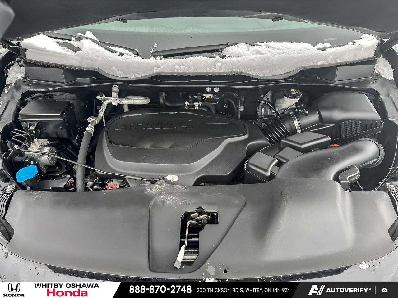 2024 Honda Odyssey Black Edition Photo