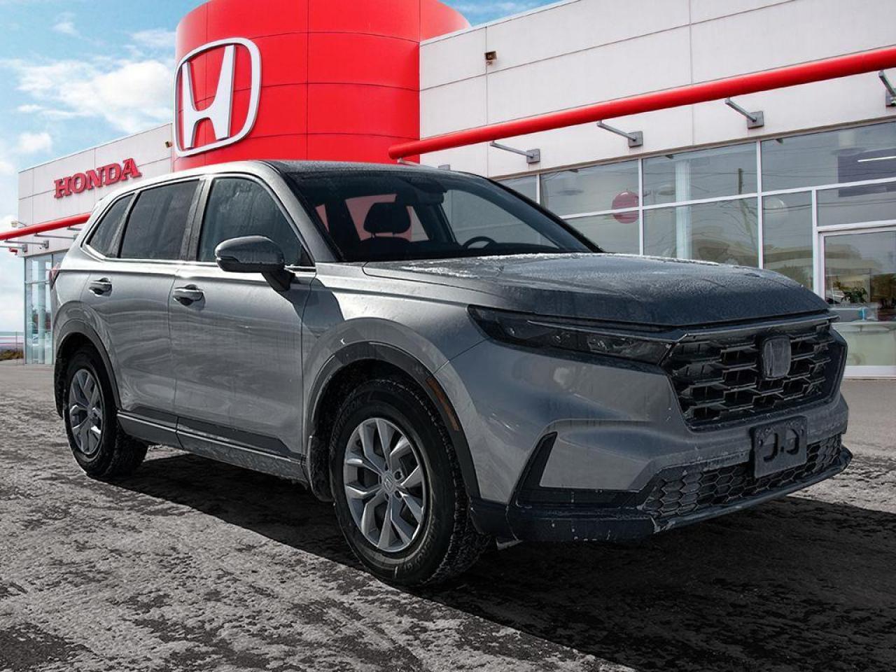 2024 Honda CR-V LX Photo