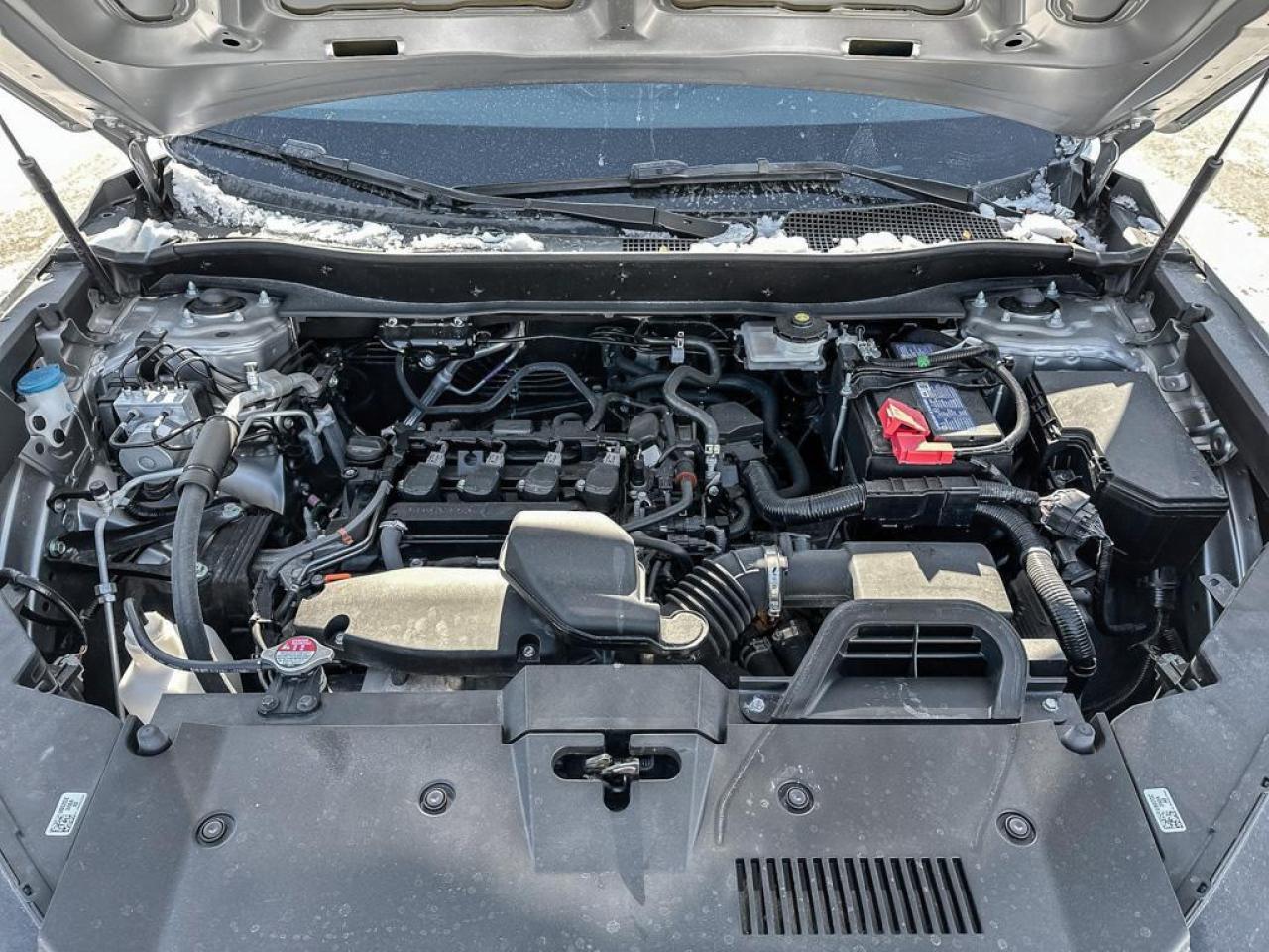 2024 Honda CR-V LX Photo