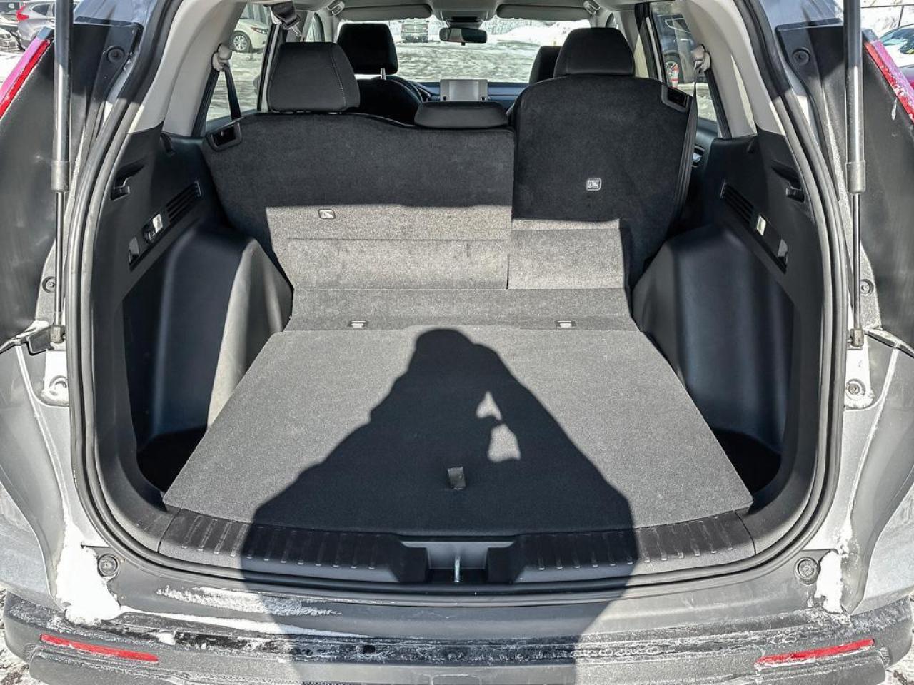 2024 Honda CR-V LX Photo