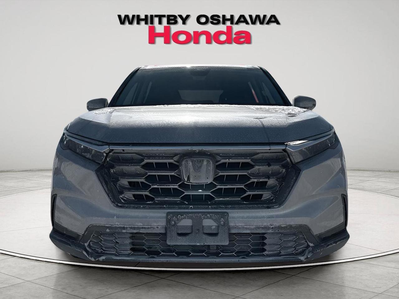 2024 Honda CR-V LX Photo