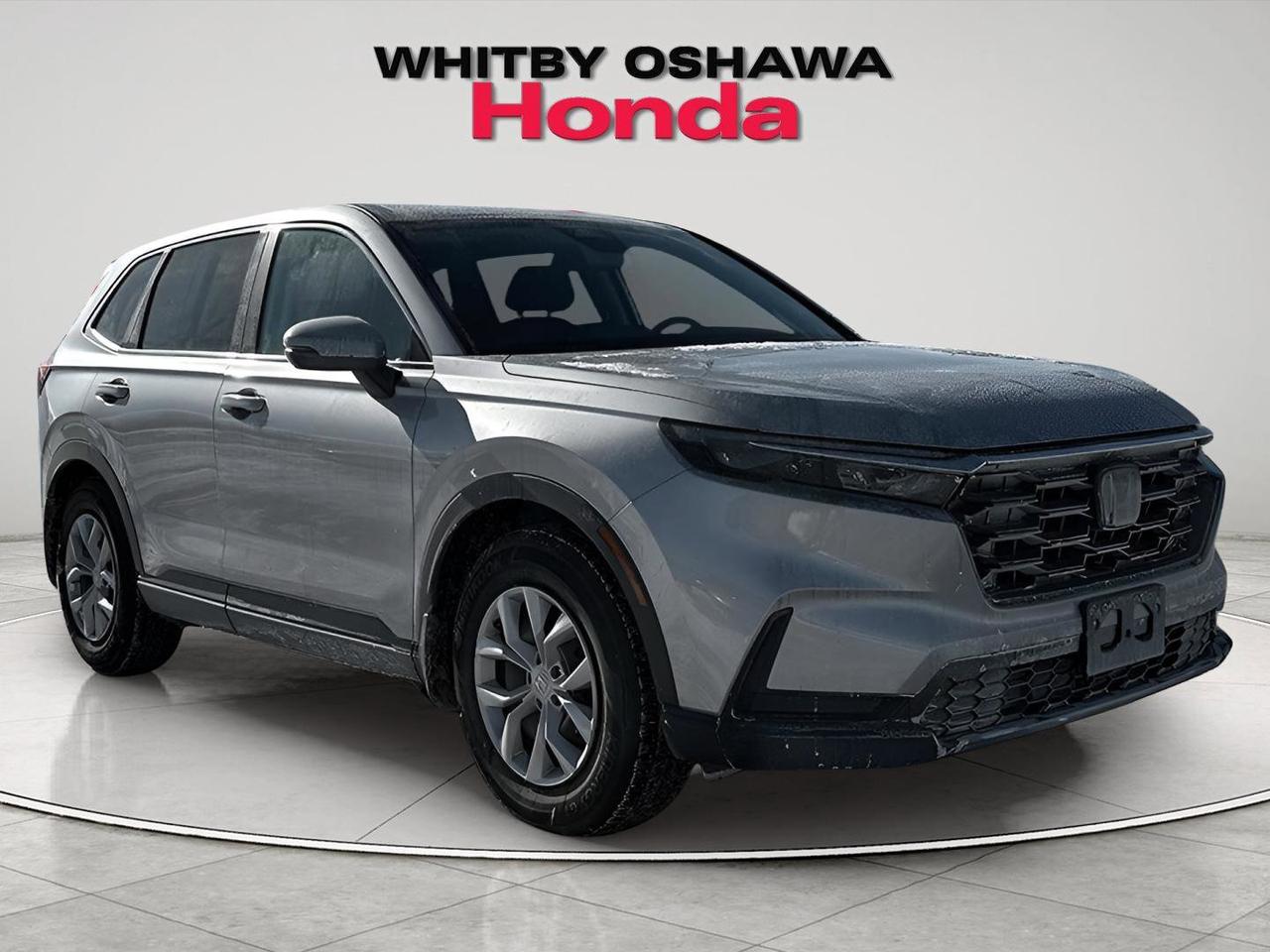 2024 Honda CR-V LX Photo