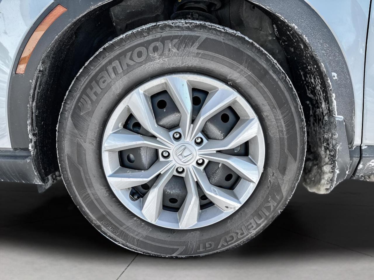 2024 Honda CR-V LX Photo