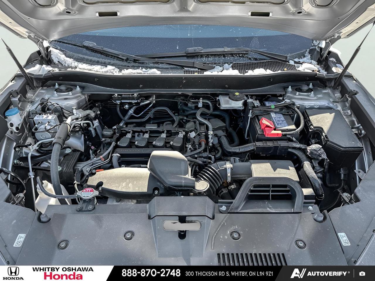 2024 Honda CR-V LX Photo