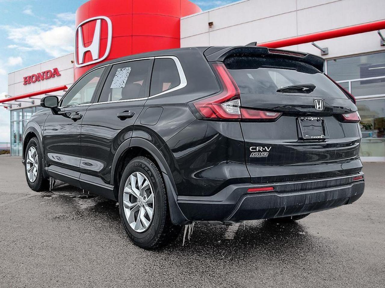 2024 Honda CR-V LX Photo