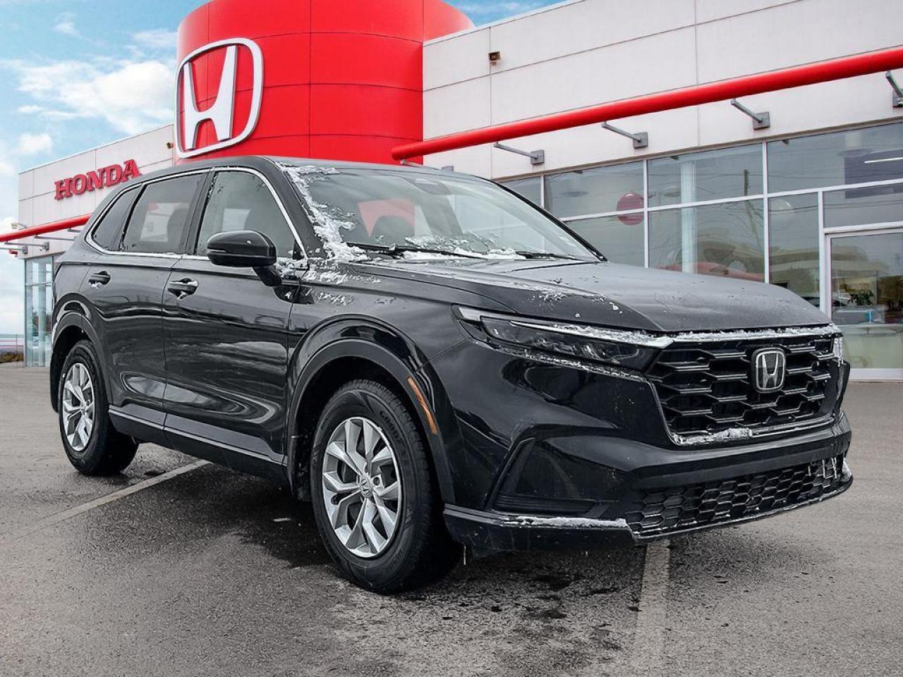 2024 Honda CR-V LX Photo