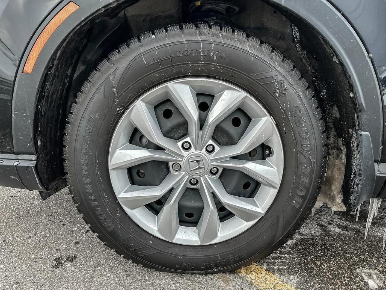 2024 Honda CR-V LX Photo