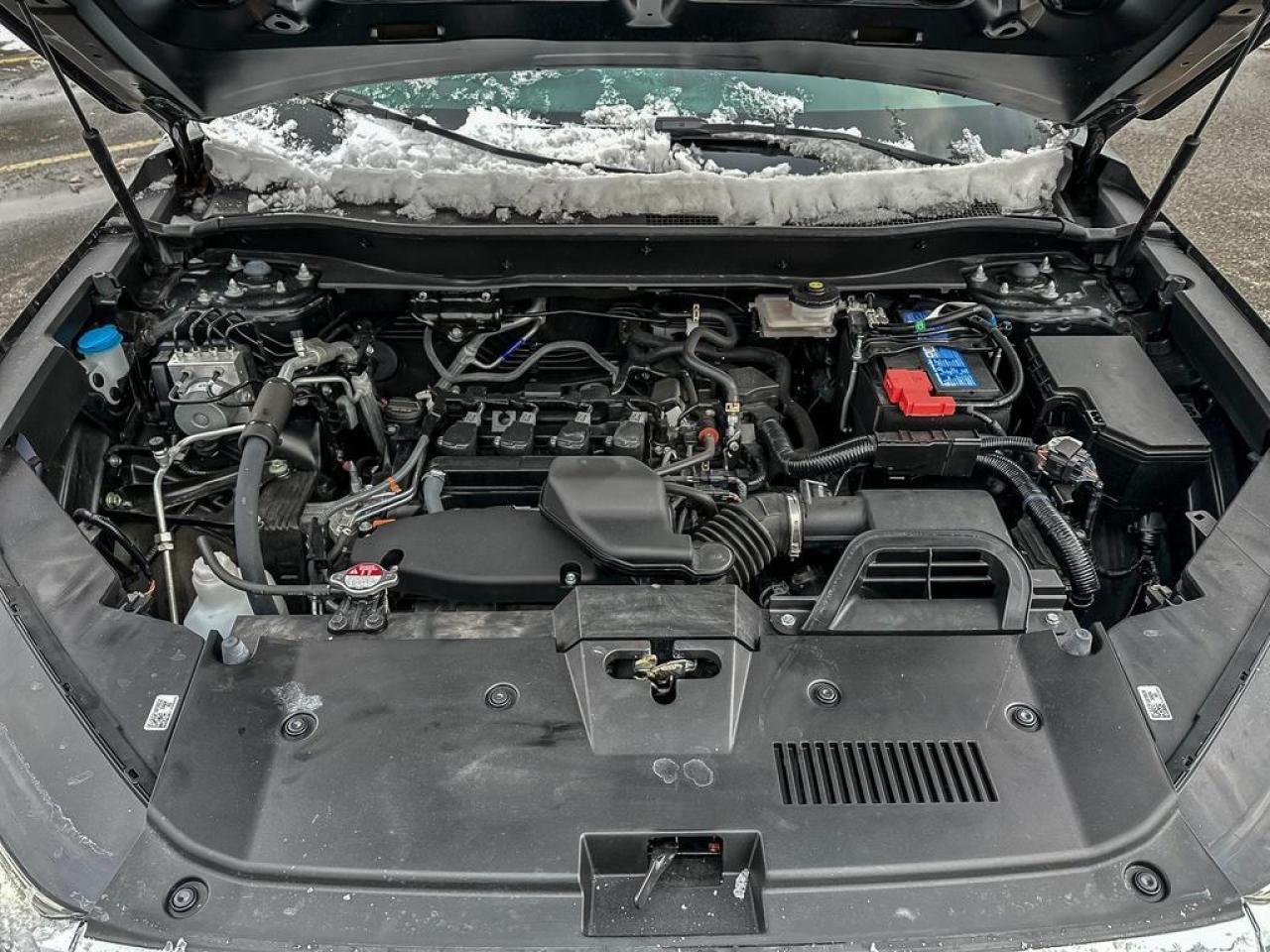 2024 Honda CR-V LX Photo