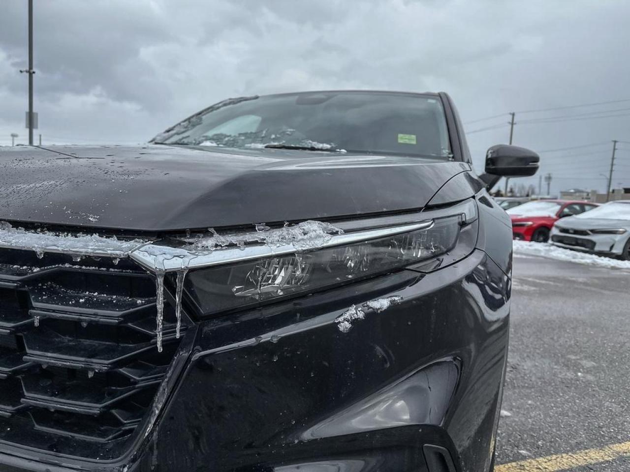 2024 Honda CR-V LX Photo