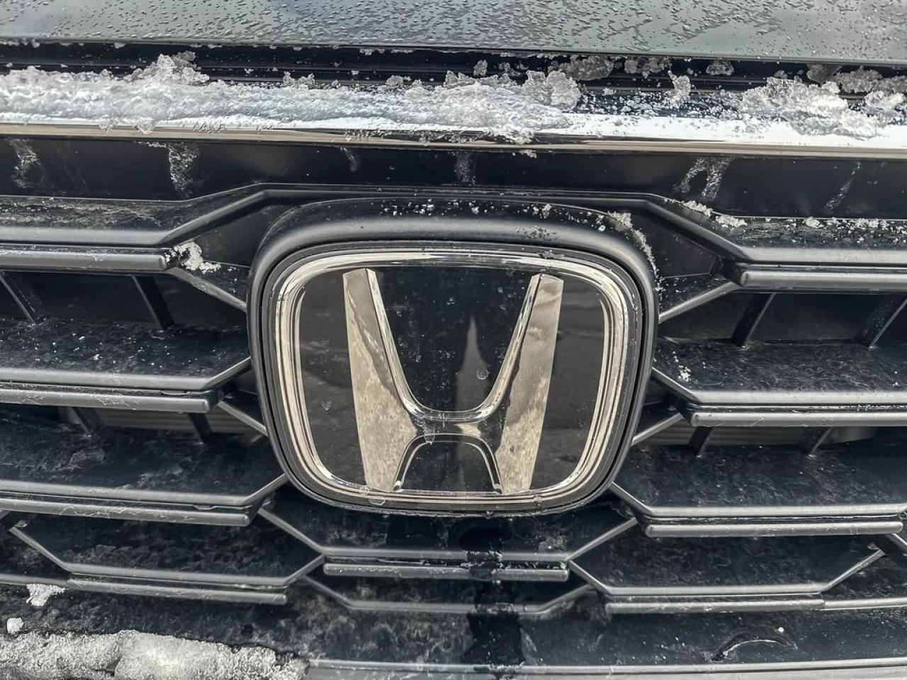 2024 Honda CR-V LX Photo