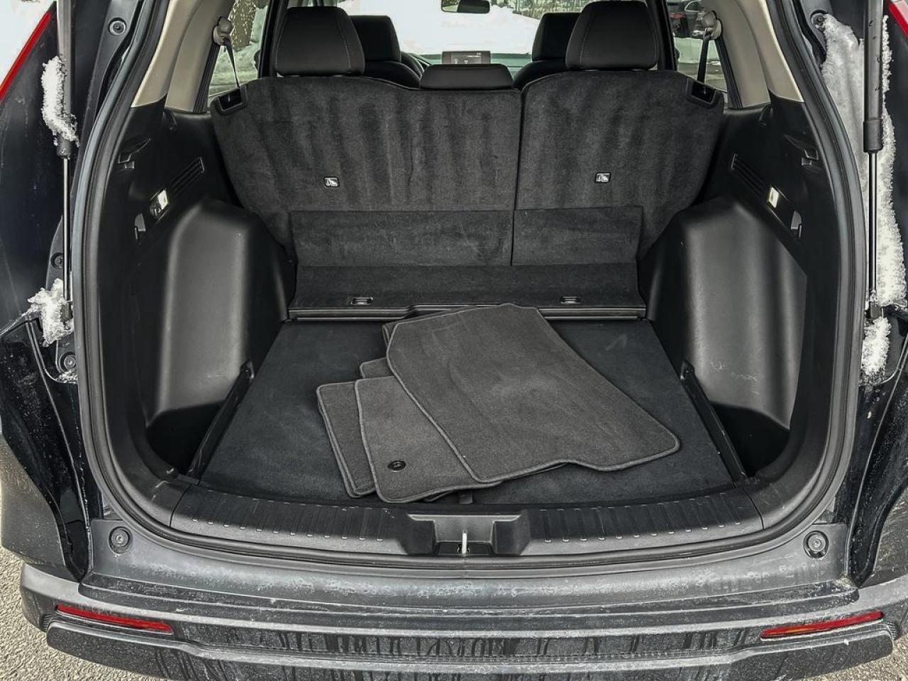 2024 Honda CR-V LX Photo