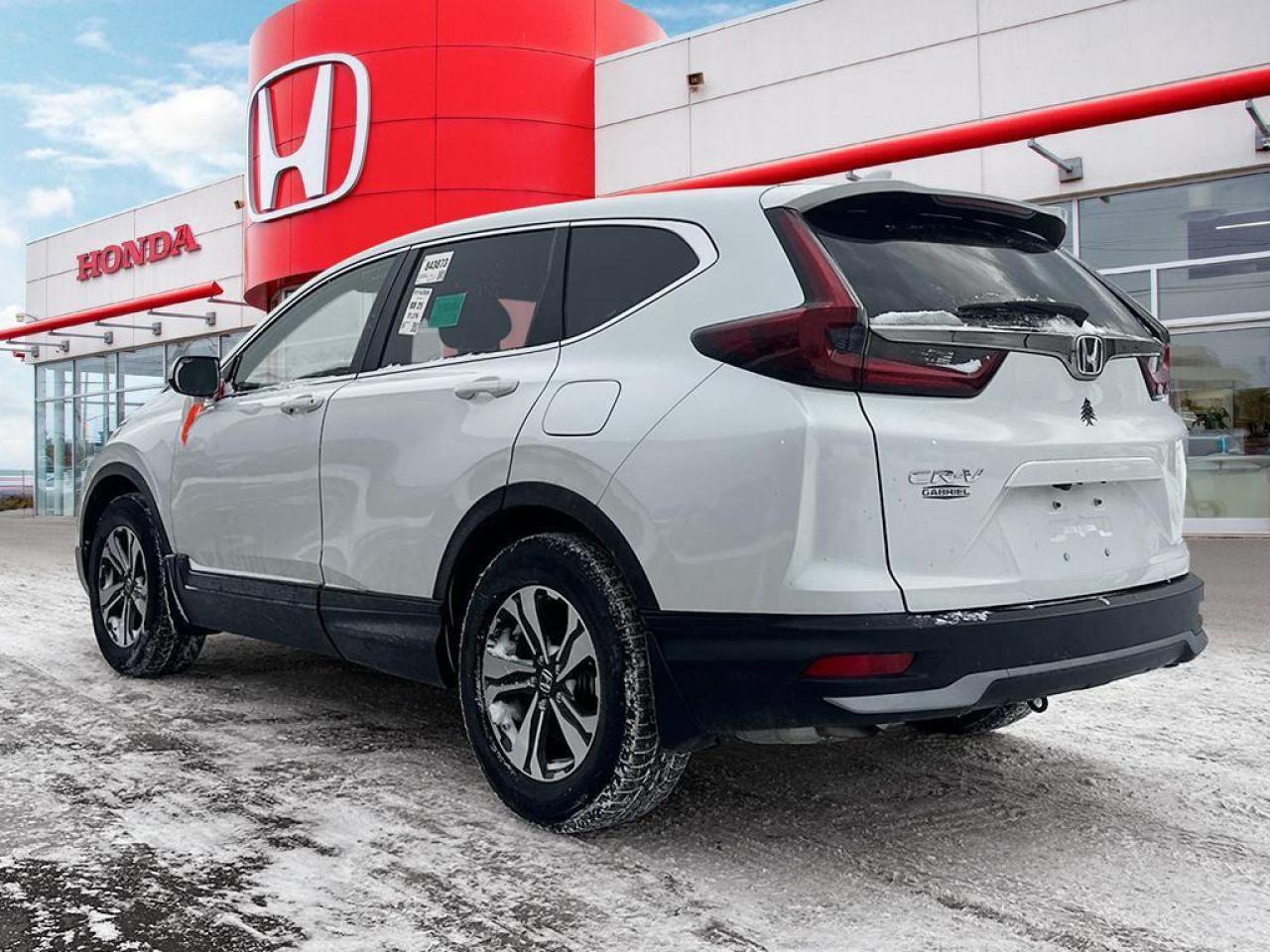 2022 Honda CR-V LX Photo