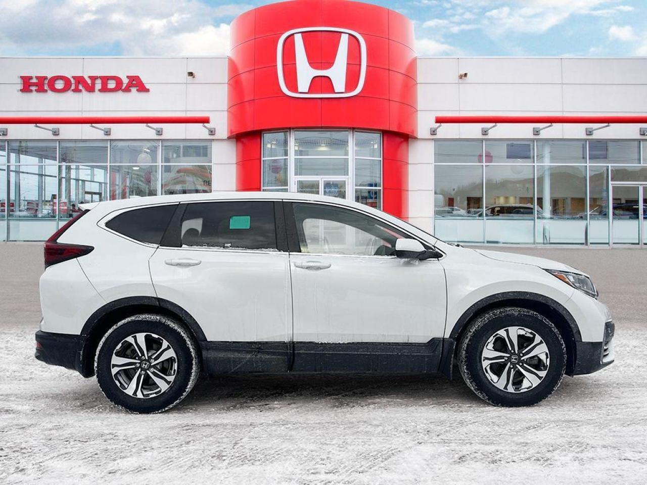 2022 Honda CR-V LX Photo