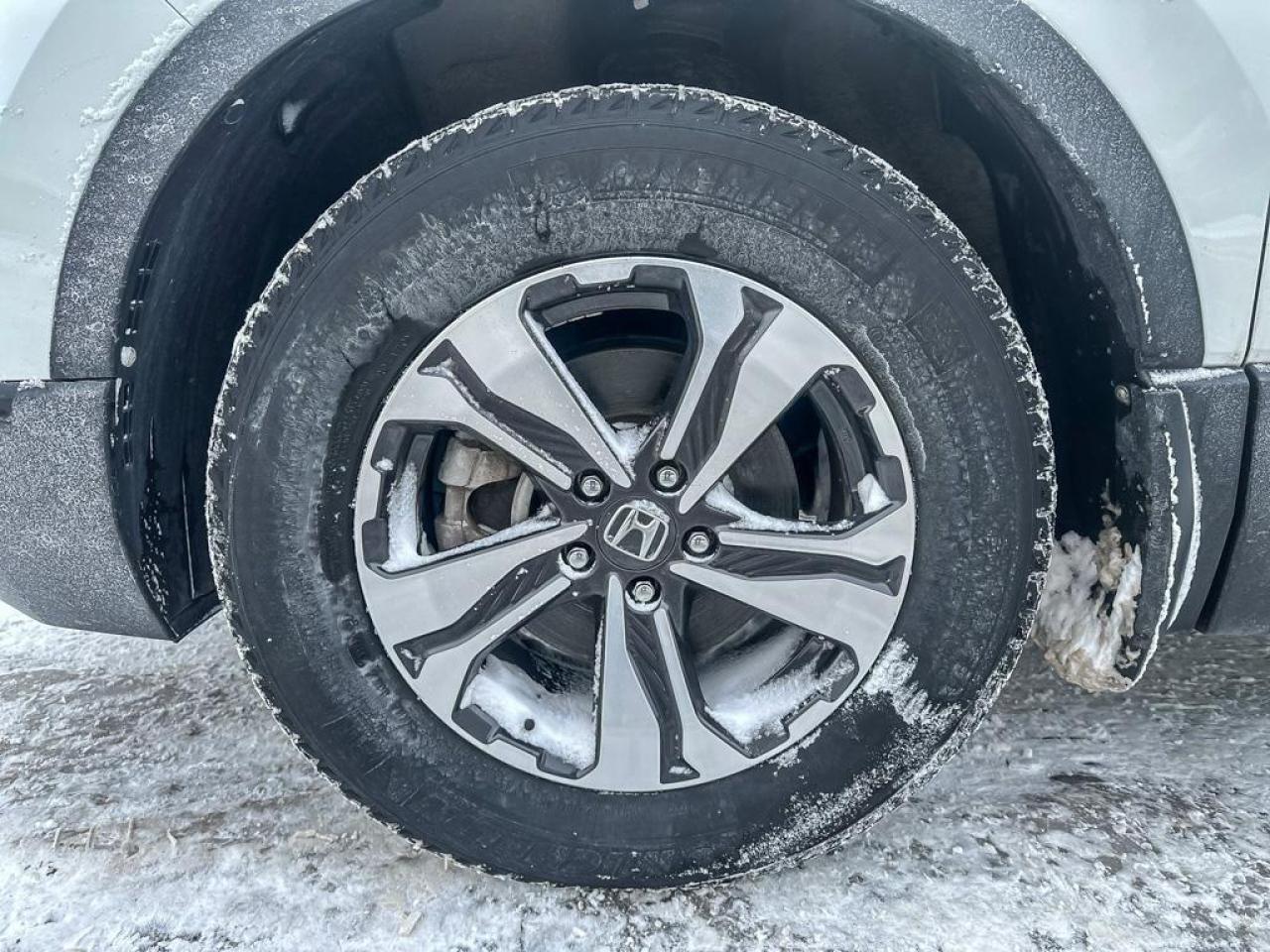 2022 Honda CR-V LX Photo