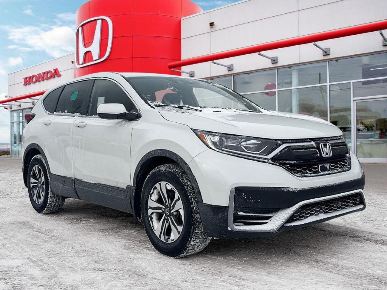 2022 Honda CR-V LX Photo