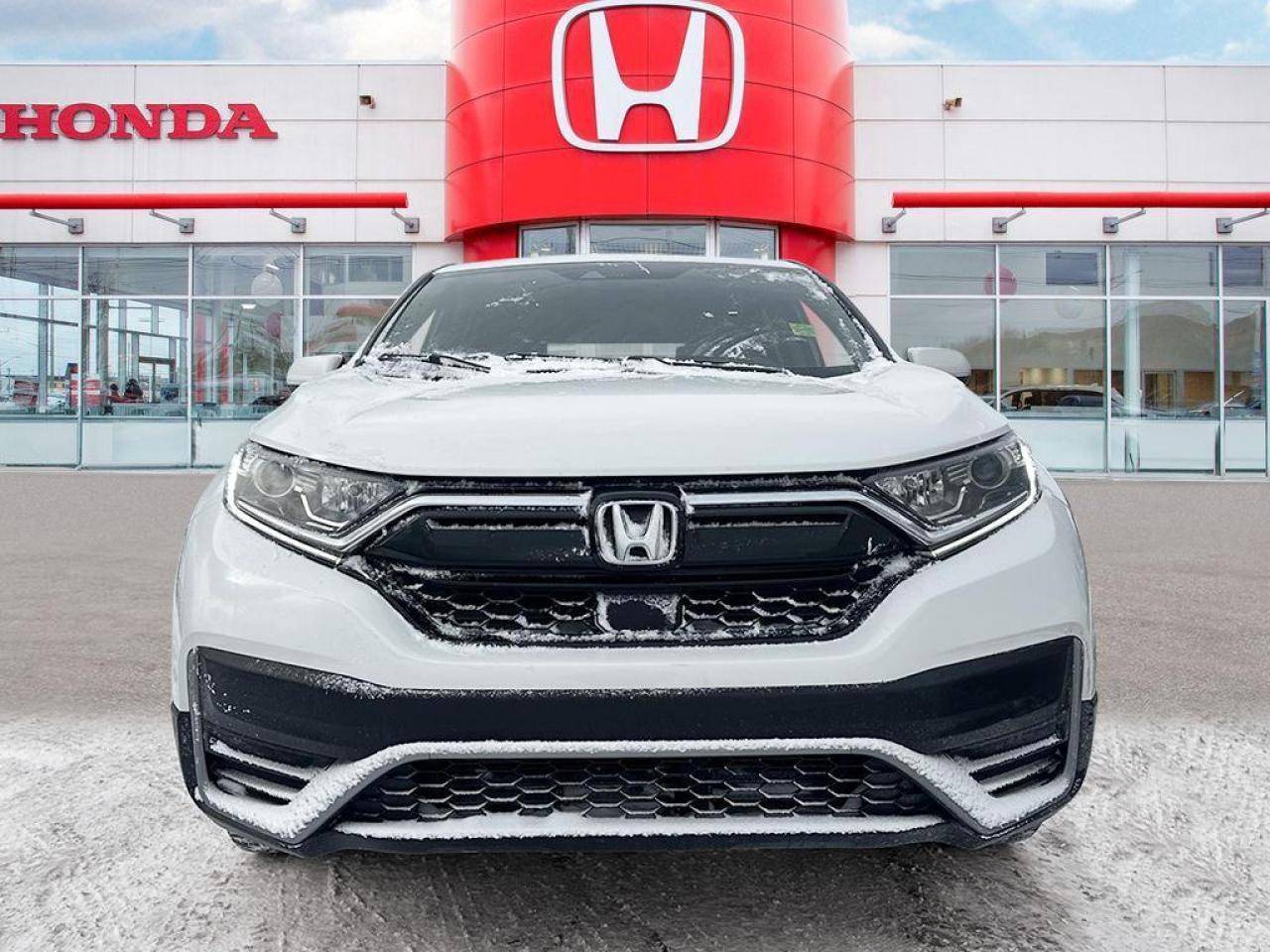 2022 Honda CR-V LX Photo