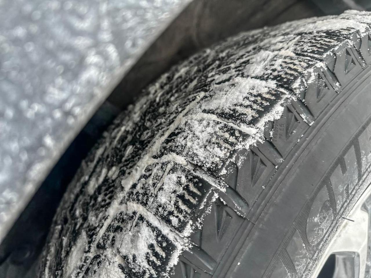 2022 Honda CR-V LX Photo