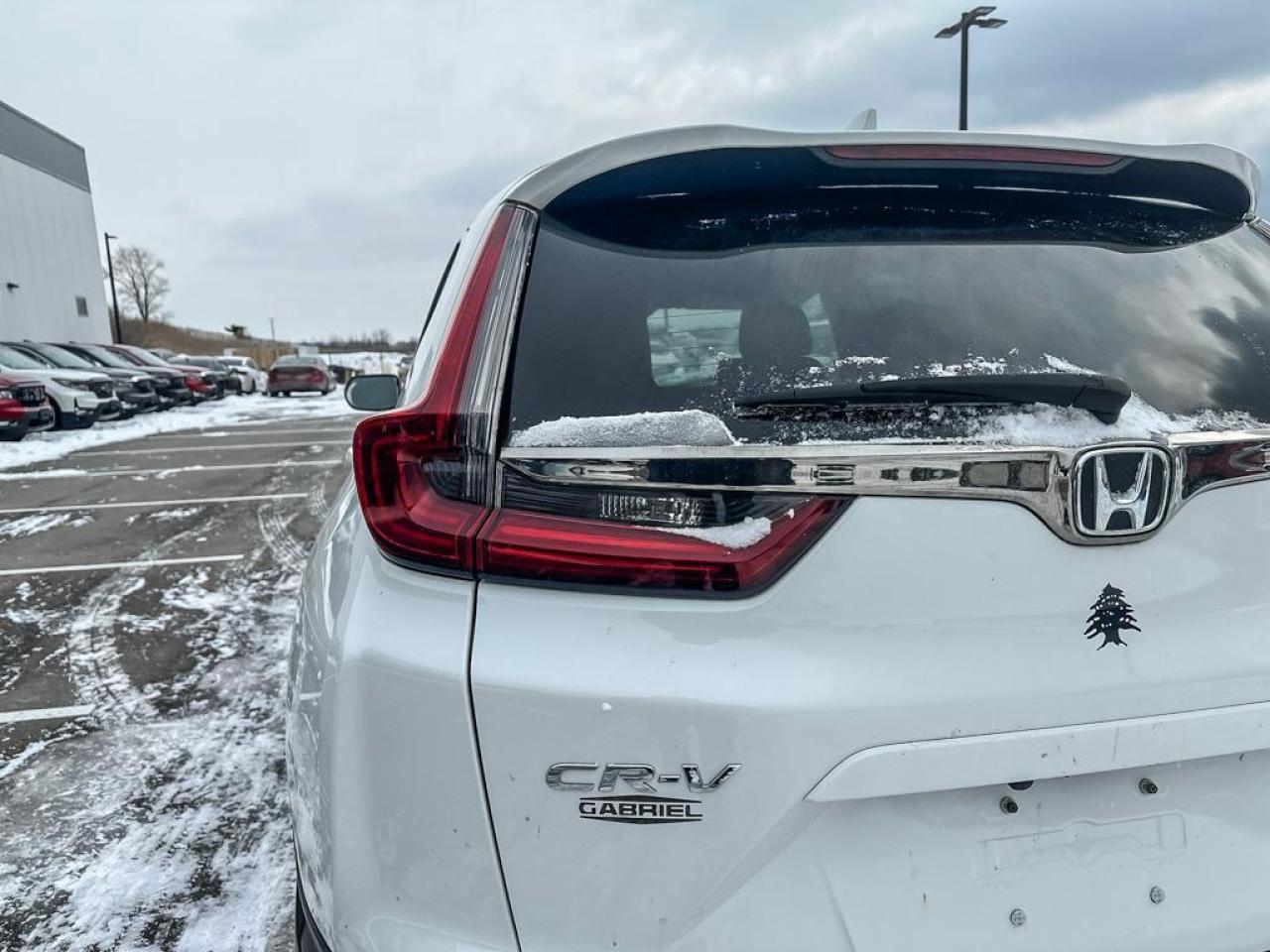 2022 Honda CR-V LX Photo