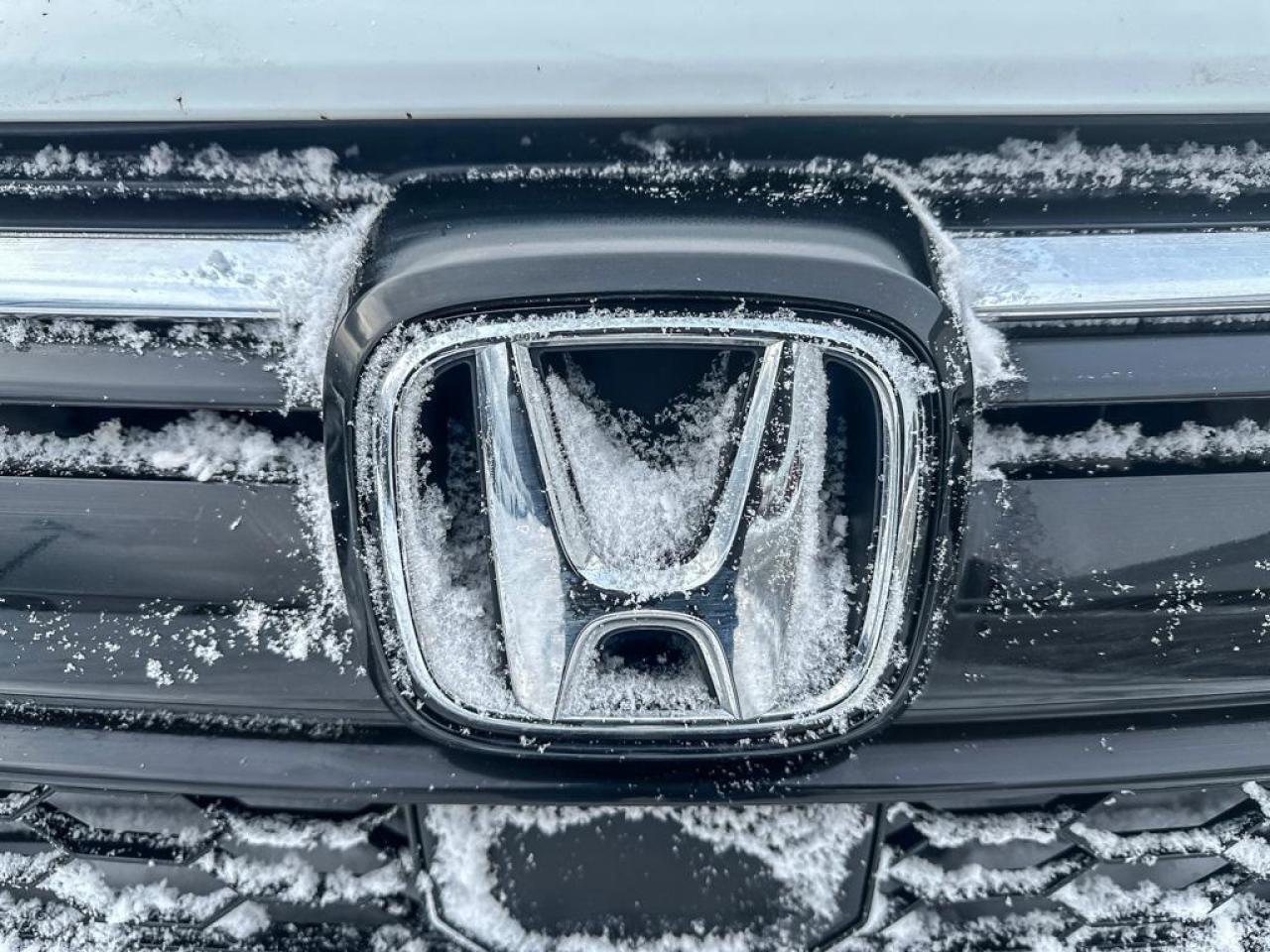 2022 Honda CR-V LX Photo