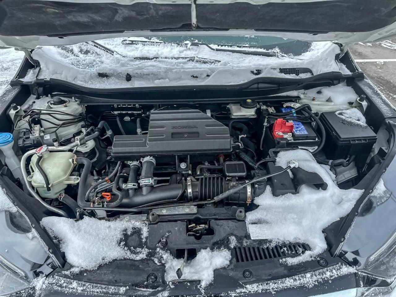 2022 Honda CR-V LX Photo