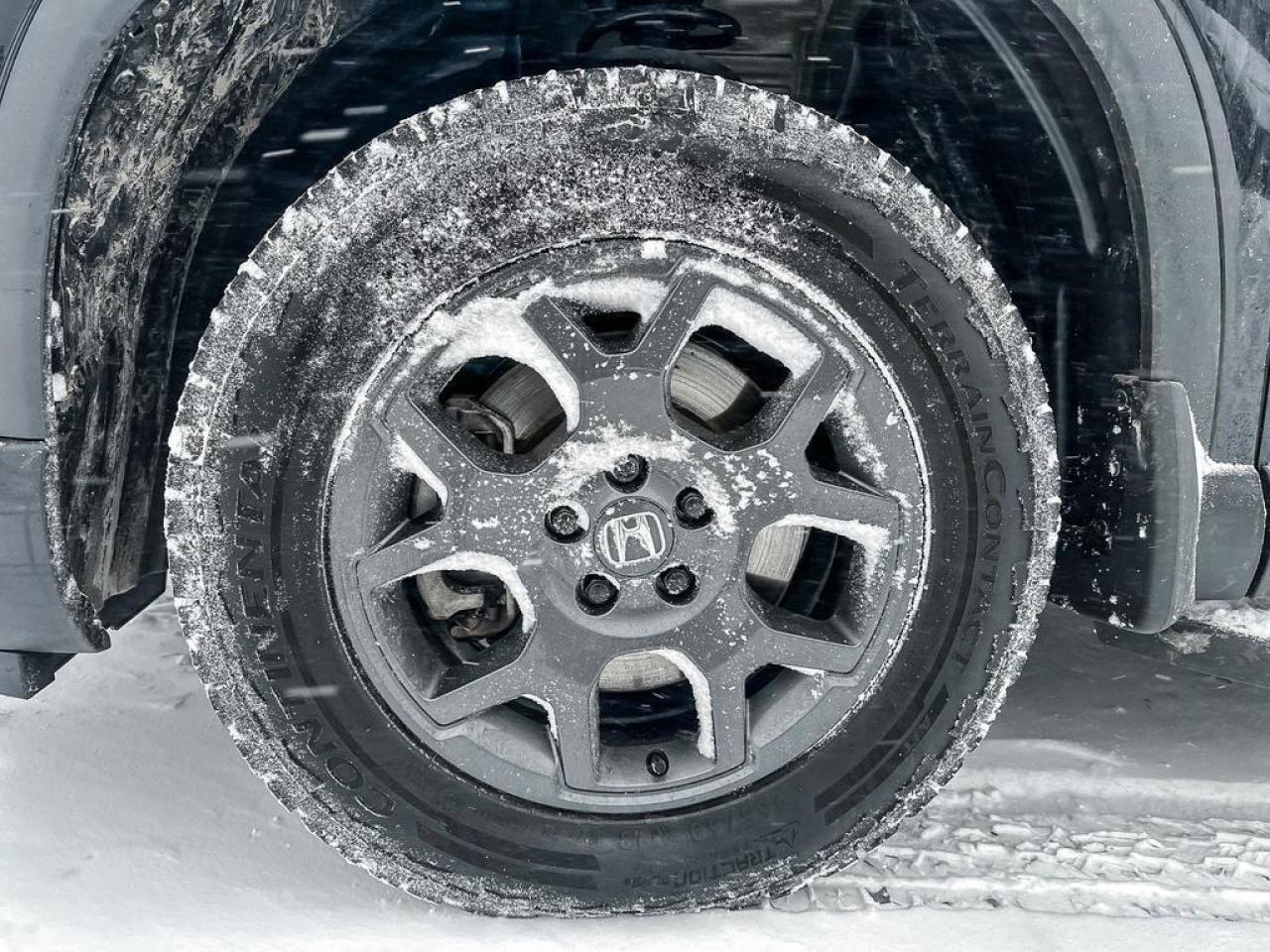 2024 Honda Pilot TrailSport Photo