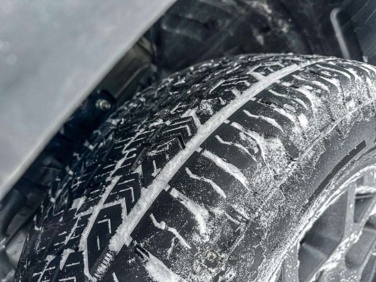 2024 Honda Pilot TrailSport Photo