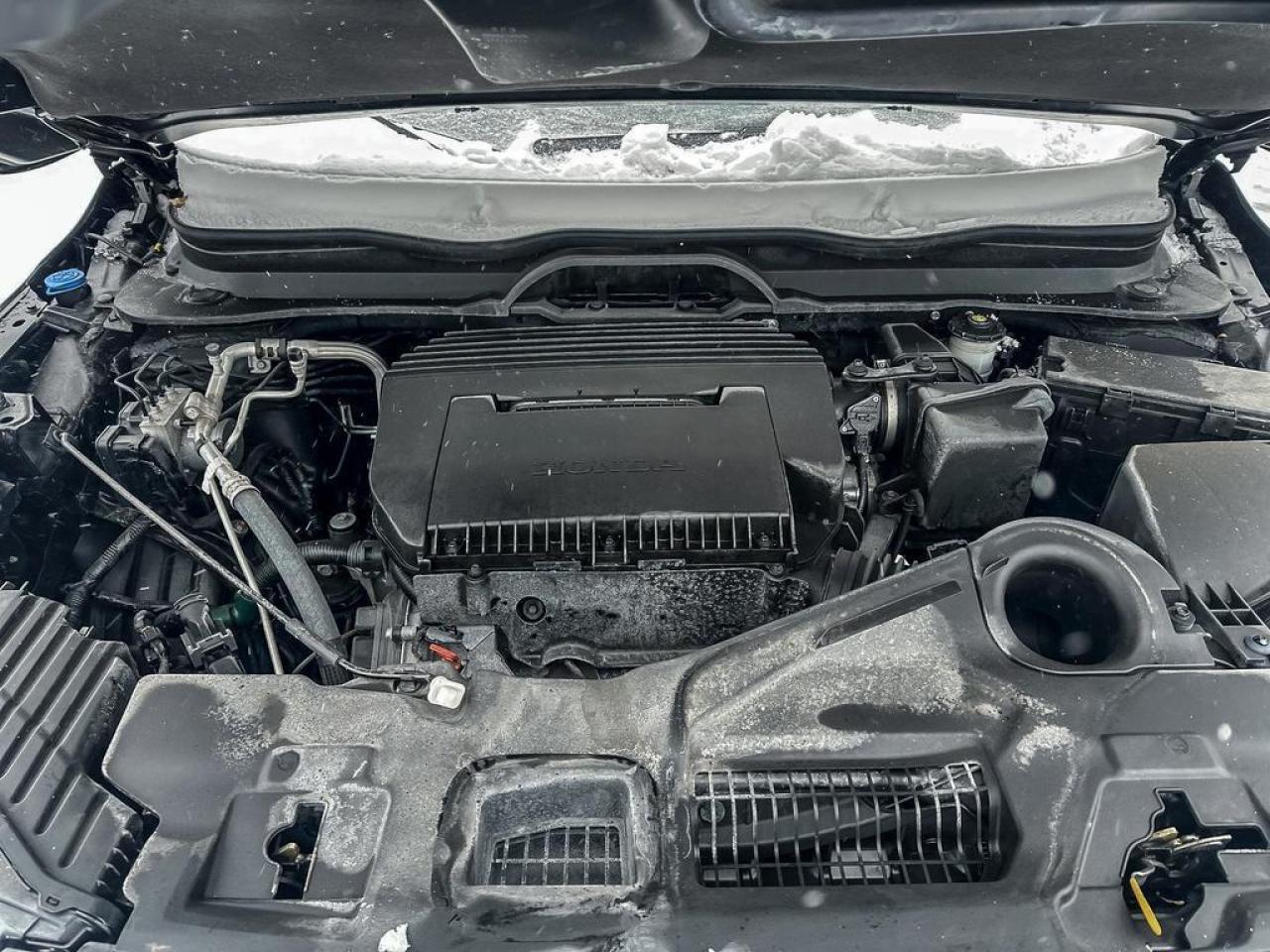 2024 Honda Pilot TrailSport Photo