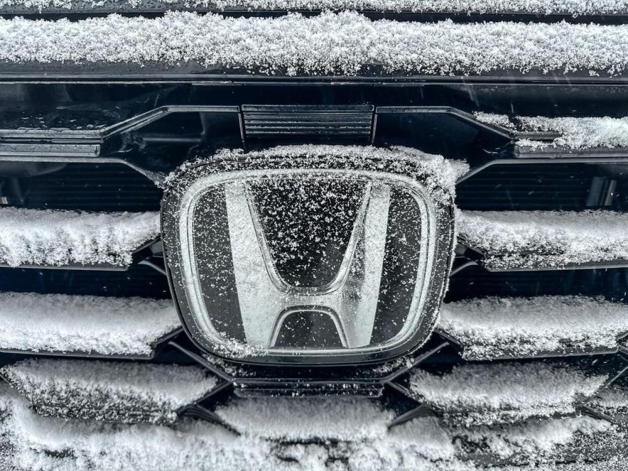 2024 Honda Pilot TrailSport Photo