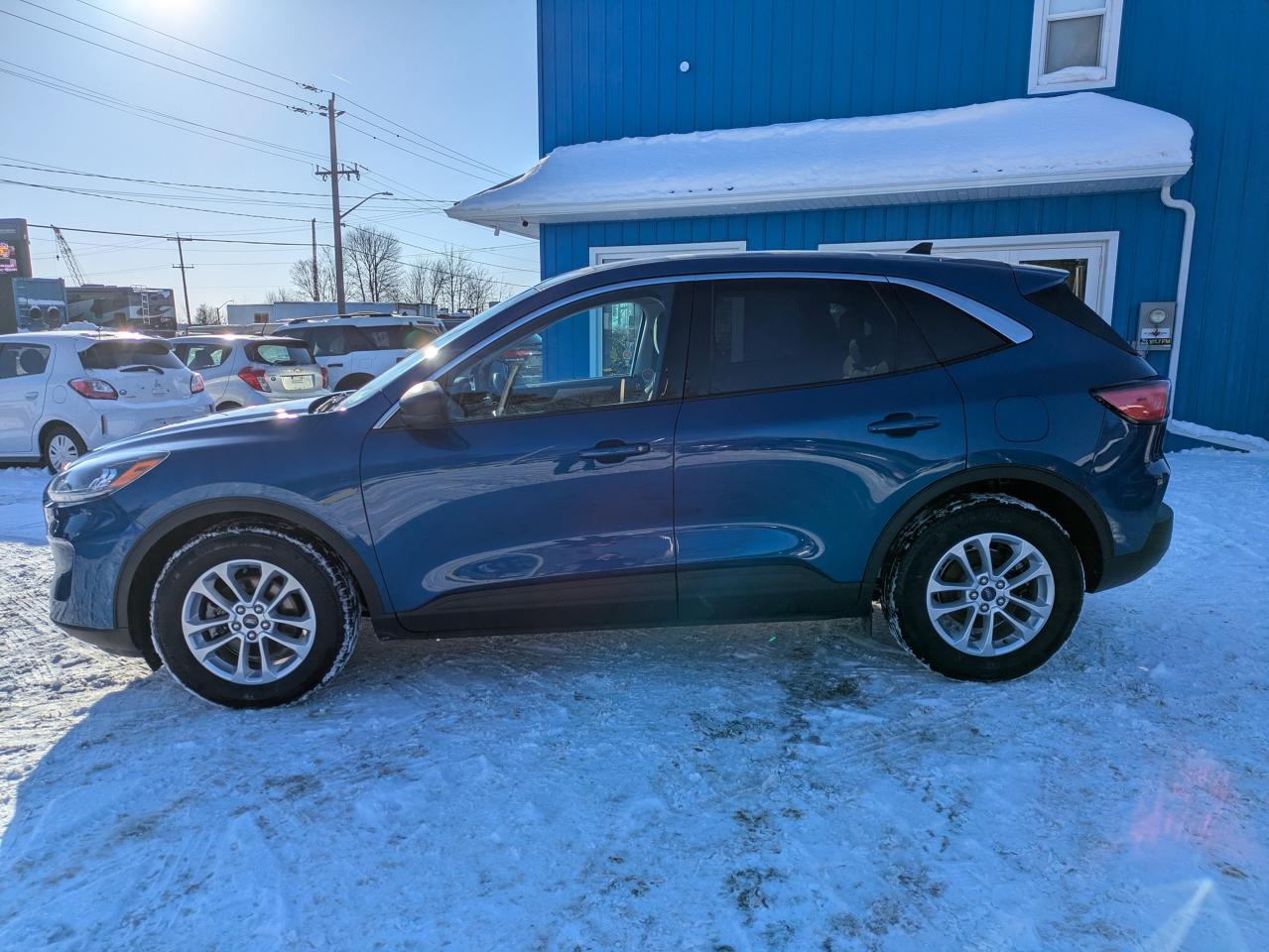 2022 Ford Escape SE FWD Photo