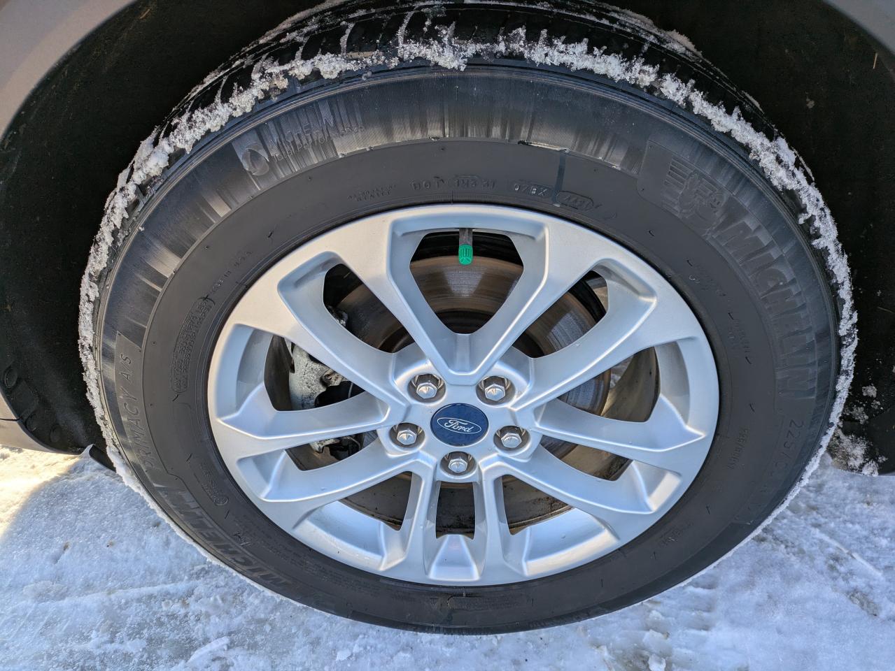 2022 Ford Escape SE FWD Photo