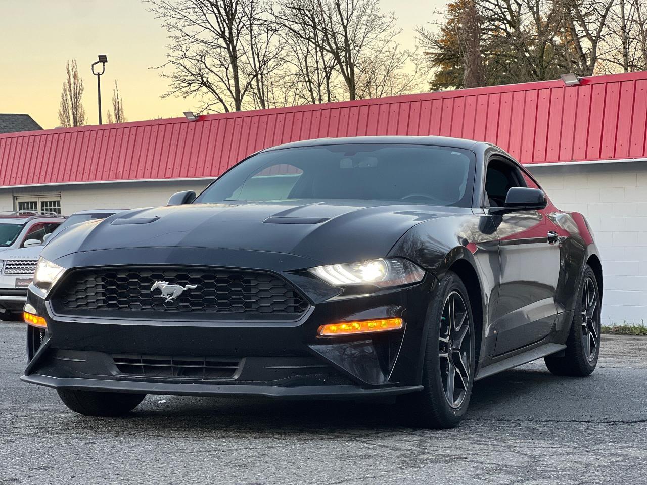 Used 2019 Ford Mustang EcoBoost for sale in Langley, BC