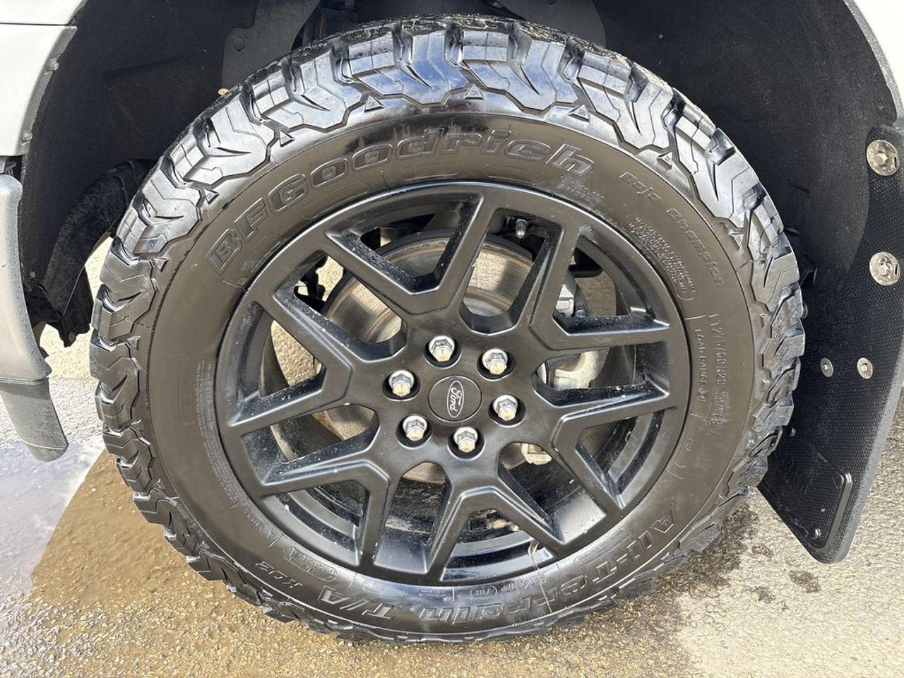 2024 Ford F-150 STX Photo2