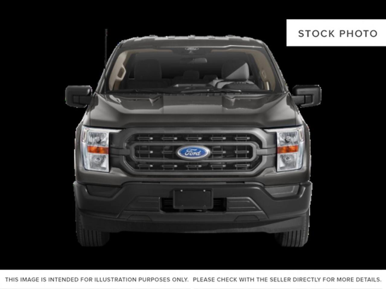 2023 Ford F-150 XLT Photo4