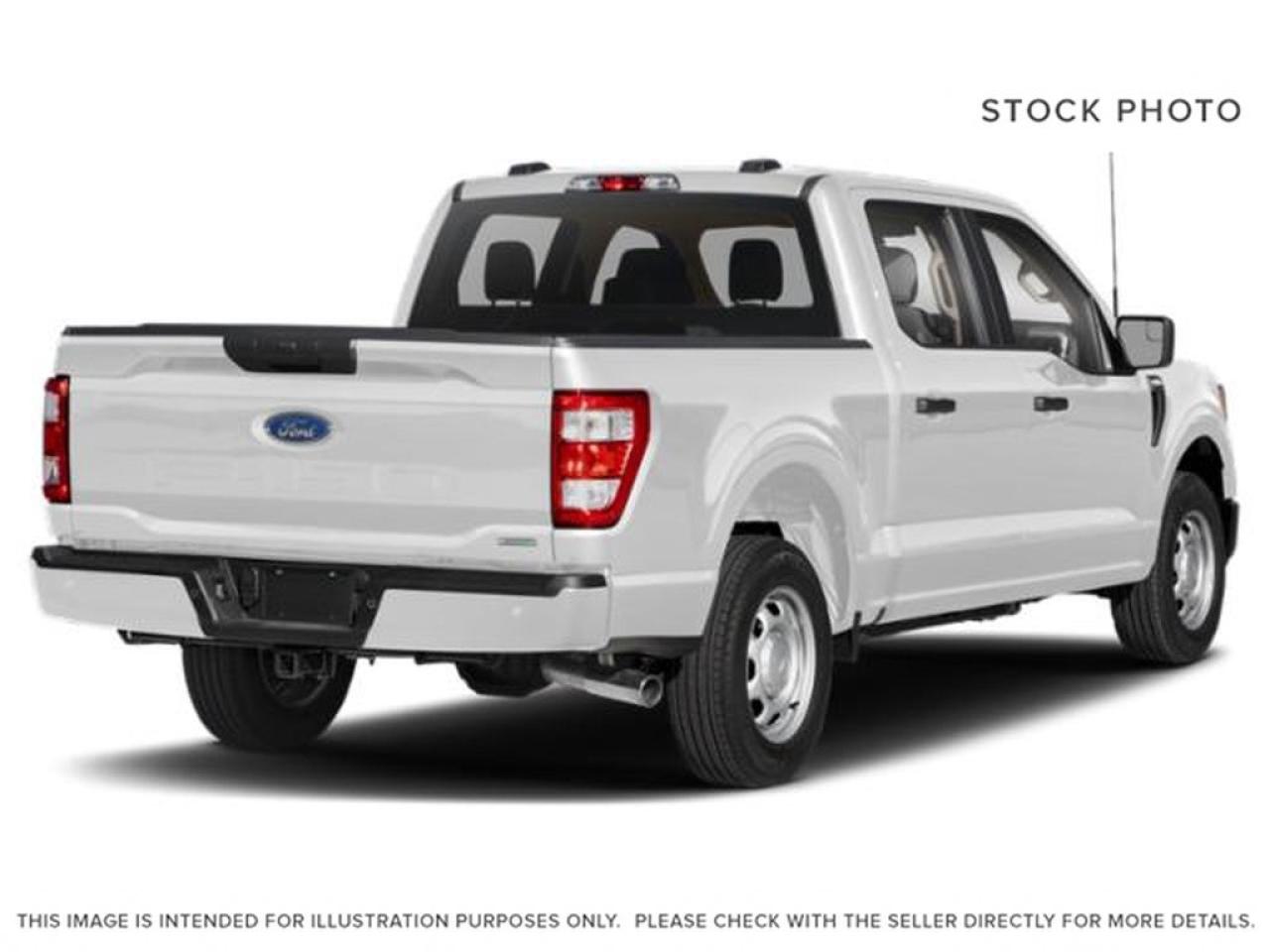 2023 Ford F-150 XLT Photo2