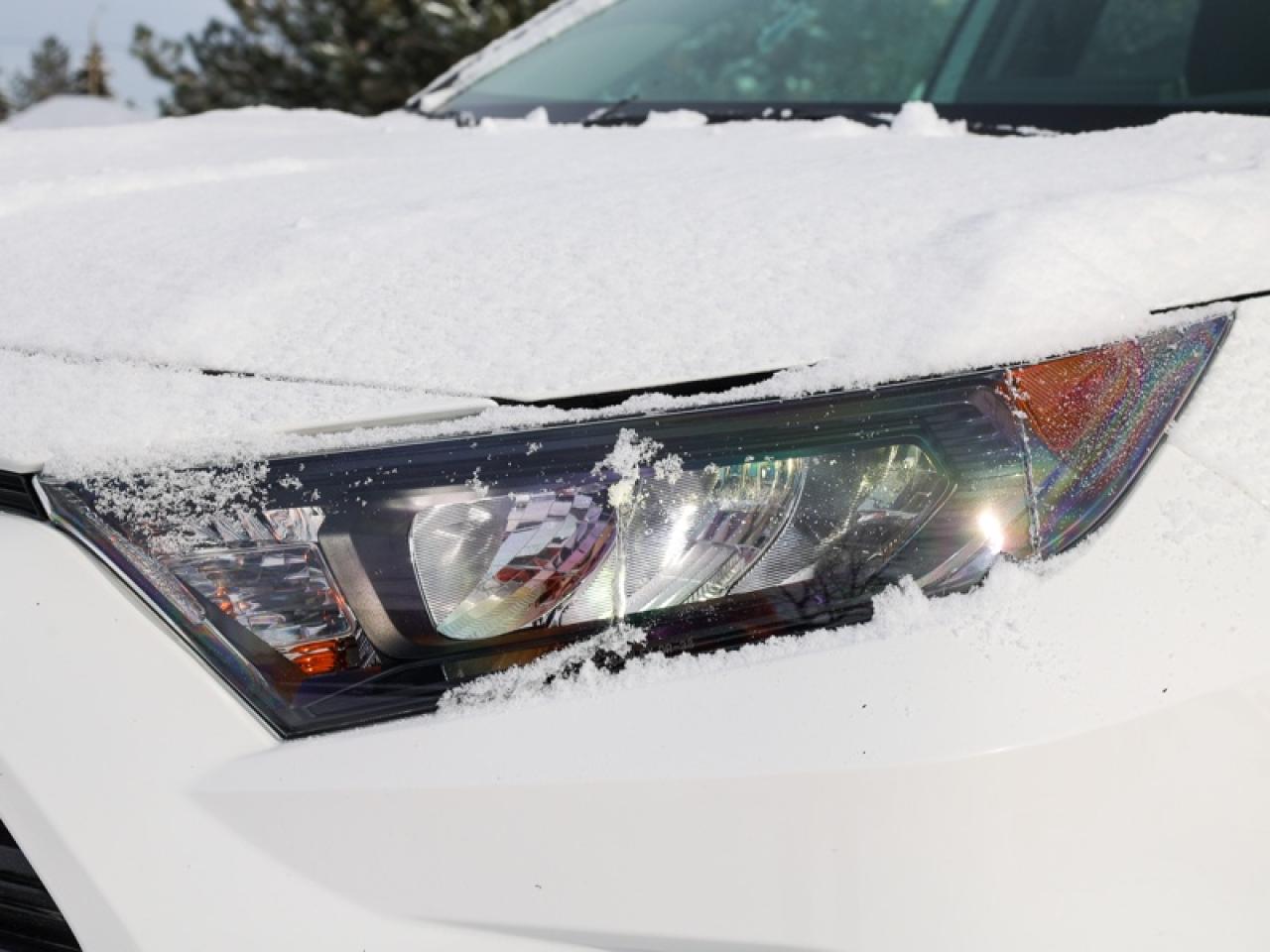 2024 Toyota RAV4 LE  - Heated Seats -  Apple CarPlay Photo