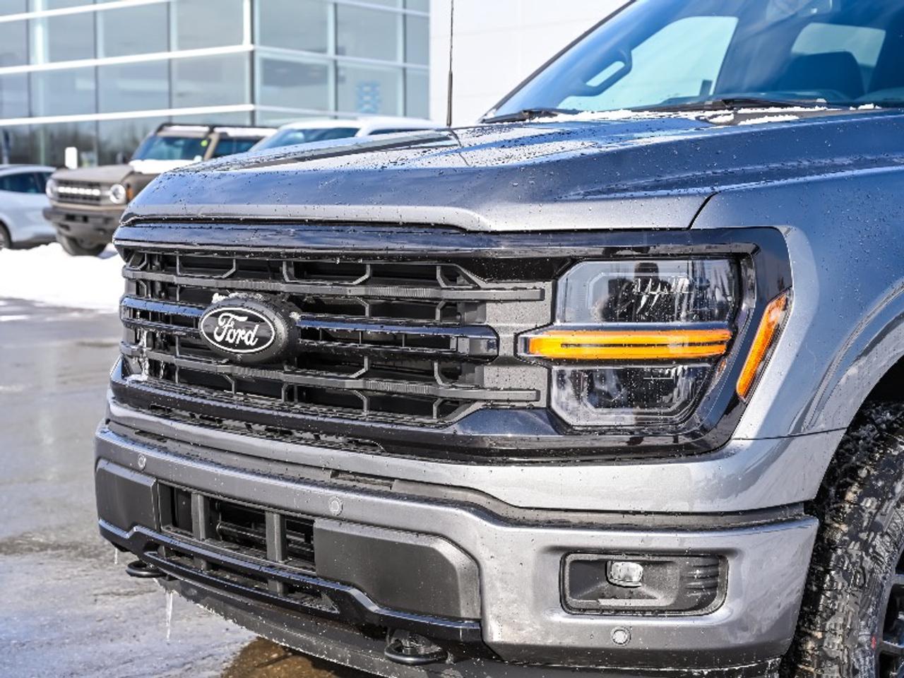 2026 Ford F-150 XLT Photo