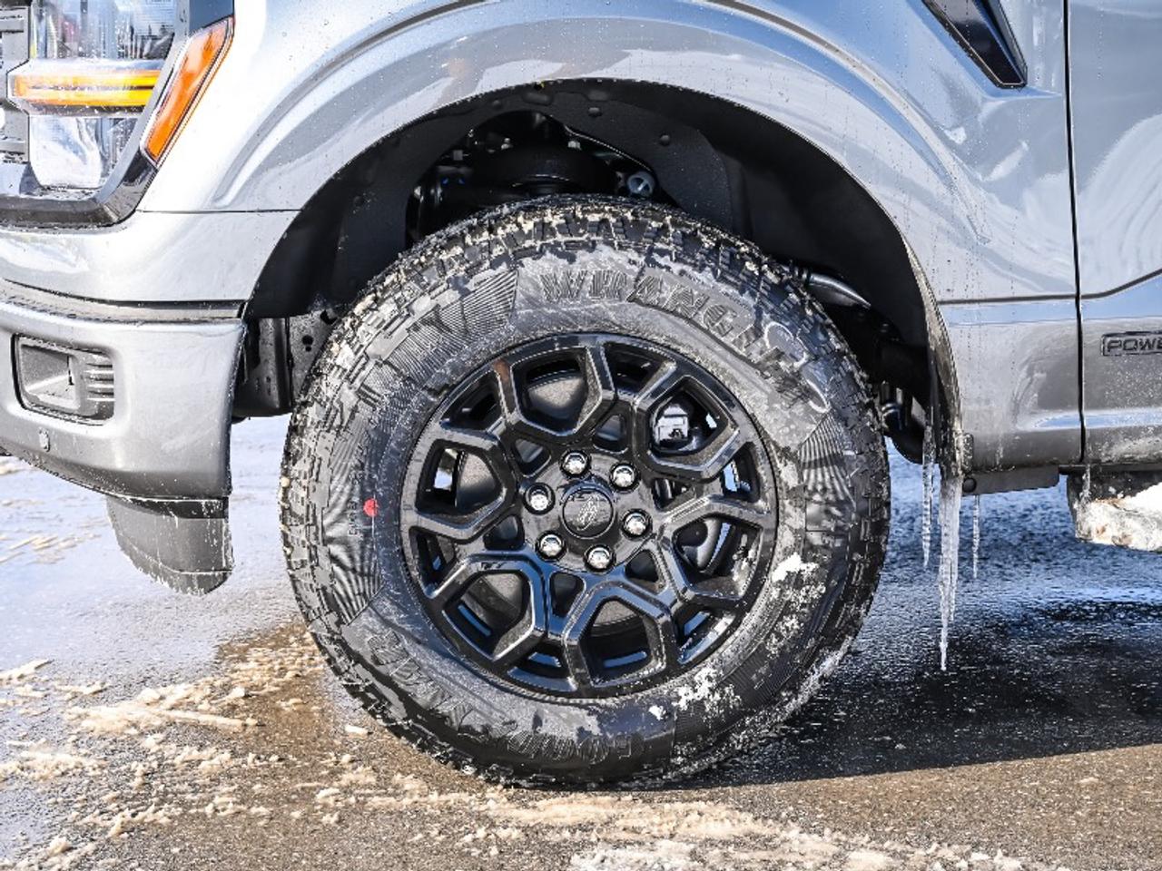 2026 Ford F-150 XLT Photo