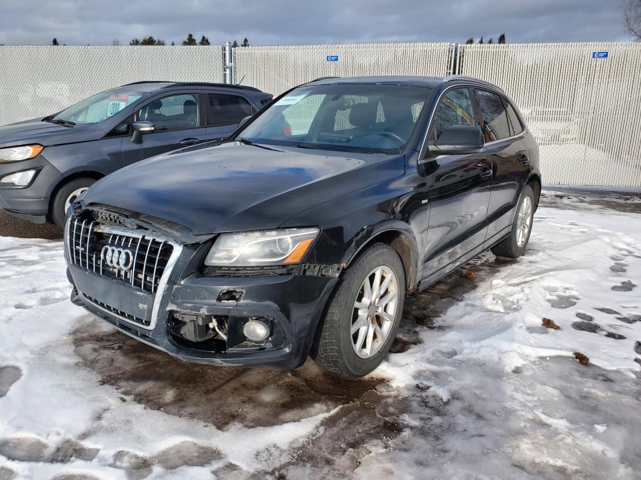Used 2011 Audi Q5 3.2 Quattro Premium for sale in Moncton, NB