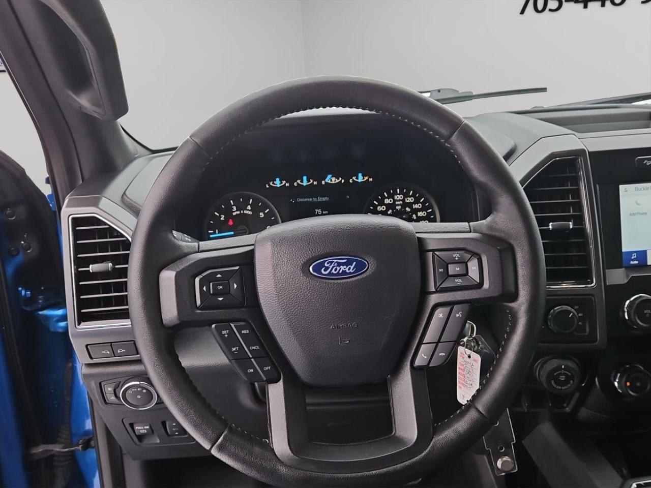 2019 Ford F-150 XLT Photo