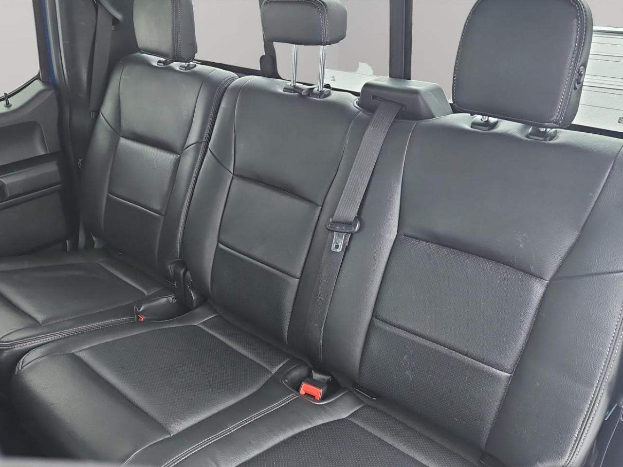 2019 Ford F-150 XLT Photo