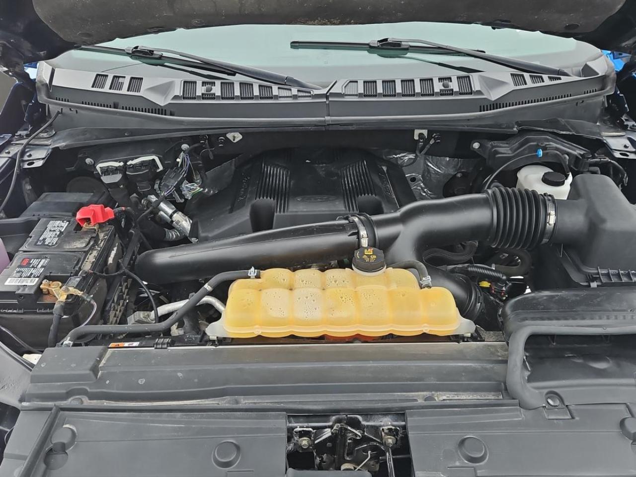 2019 Ford F-150 XLT Photo