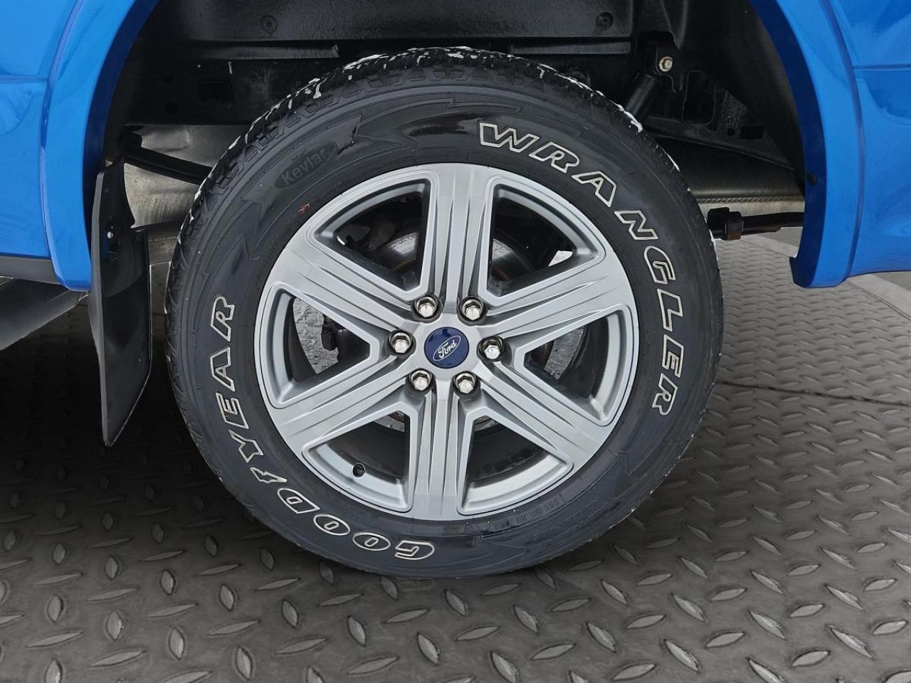 2019 Ford F-150 XLT Photo