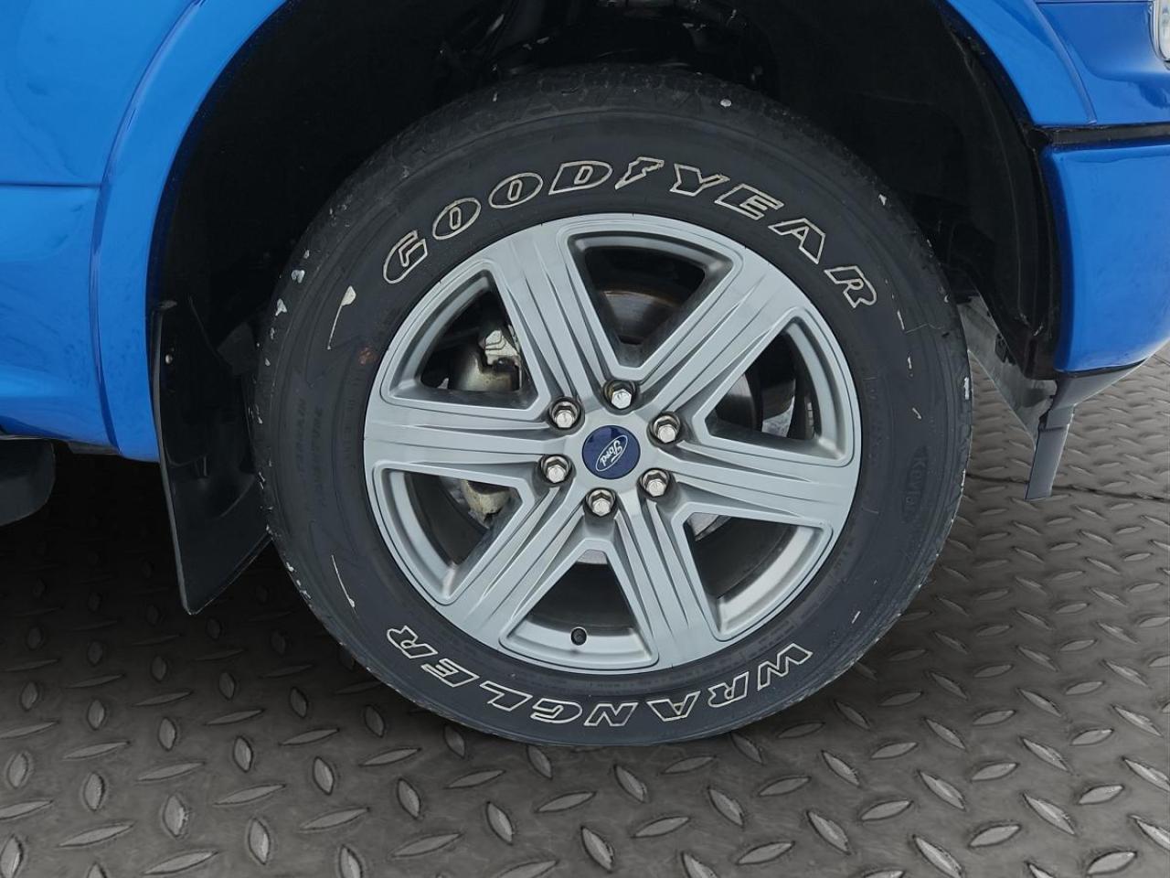 2019 Ford F-150 XLT Photo