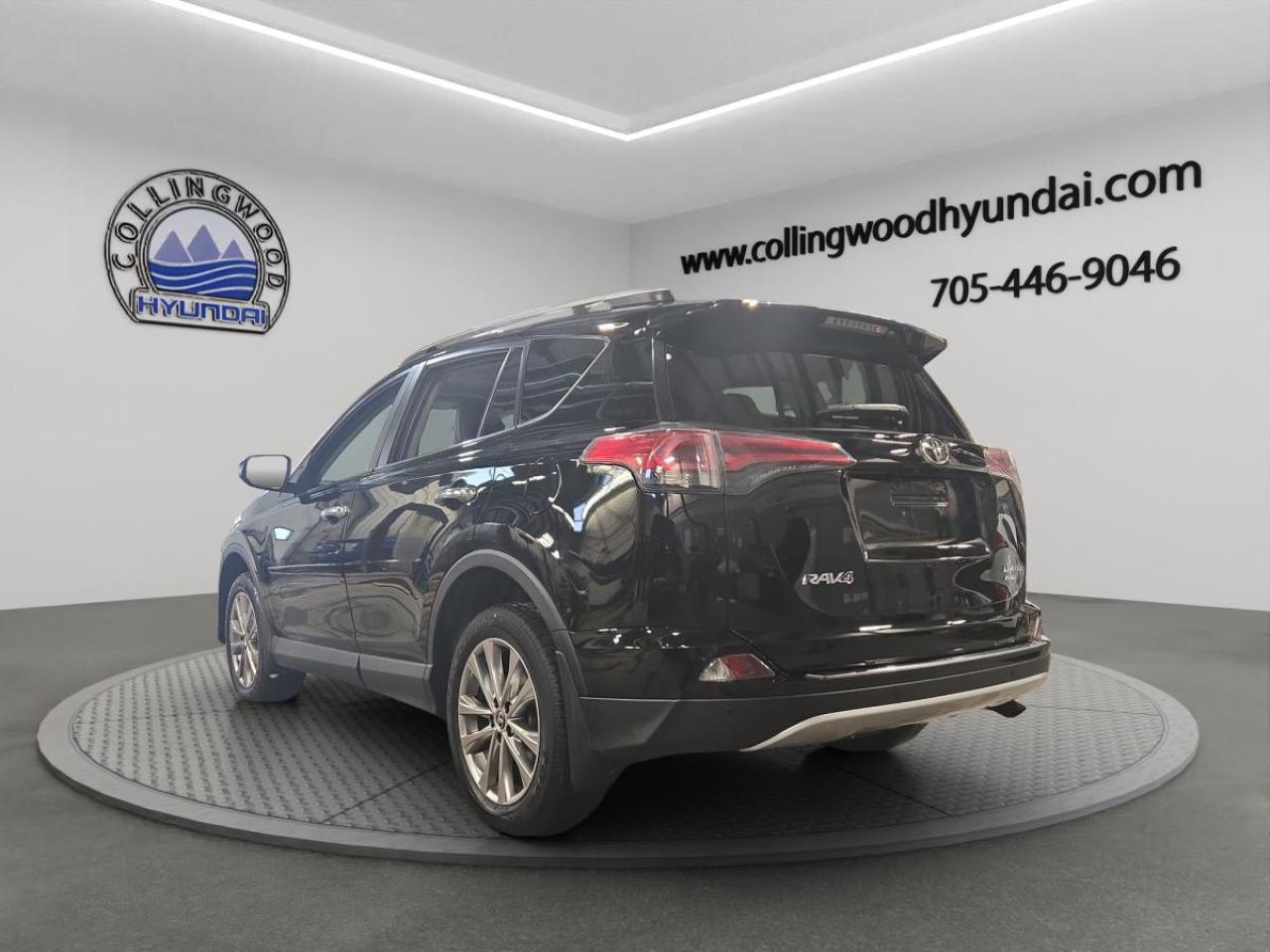 2016 Toyota RAV4 LIMITED  Photo