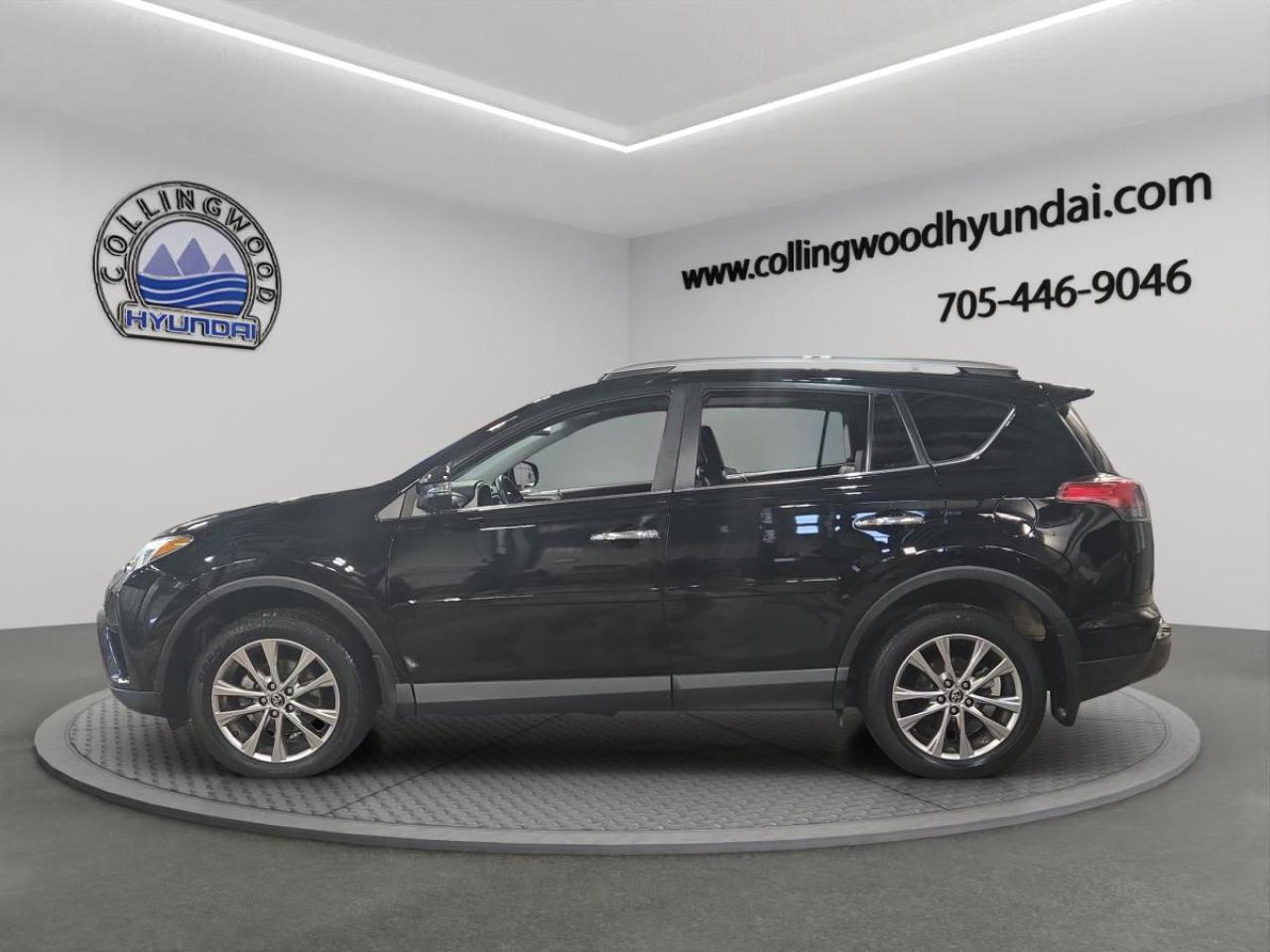 2016 Toyota RAV4 LIMITED  Photo