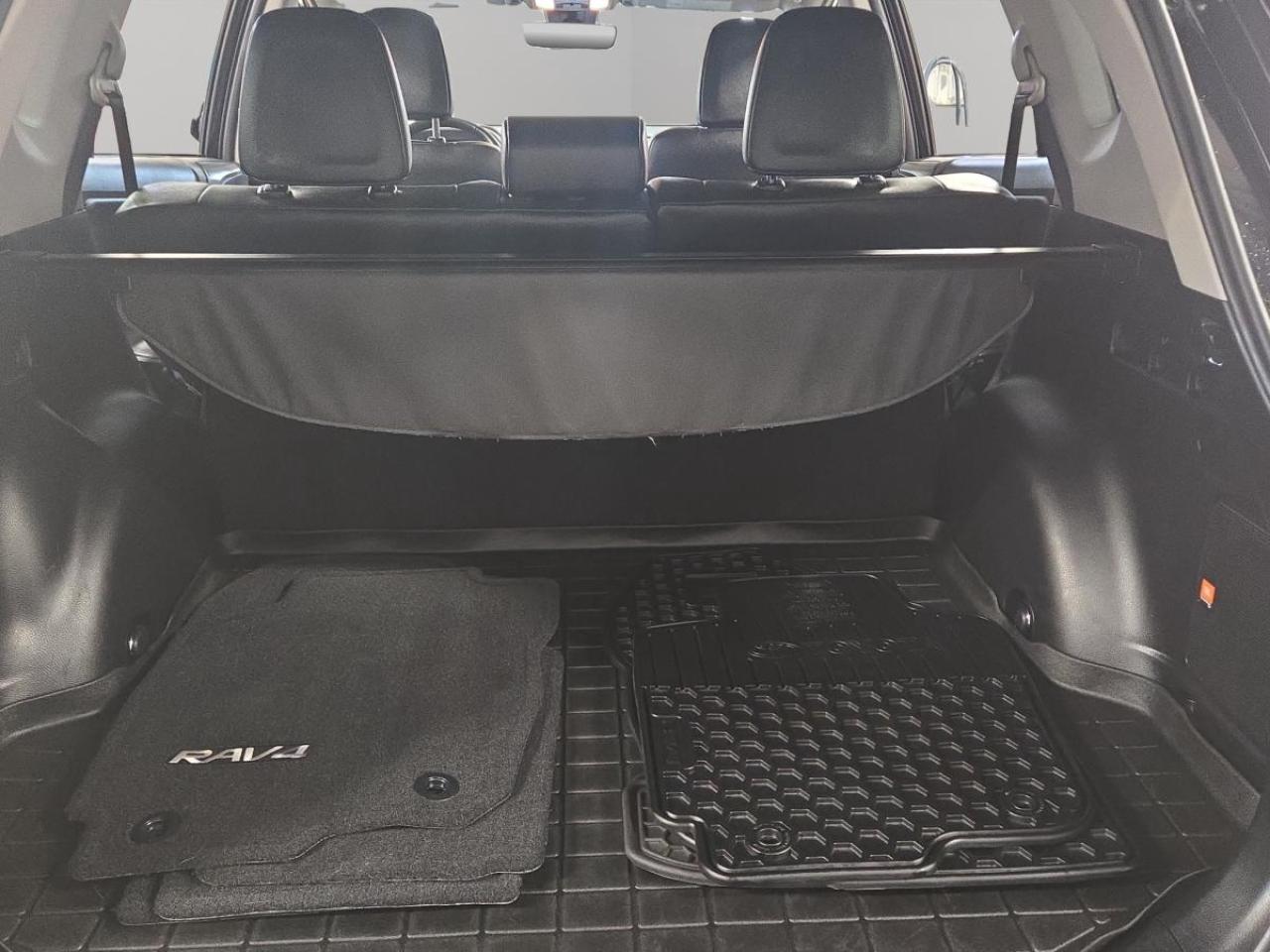 2016 Toyota RAV4 LIMITED  Photo