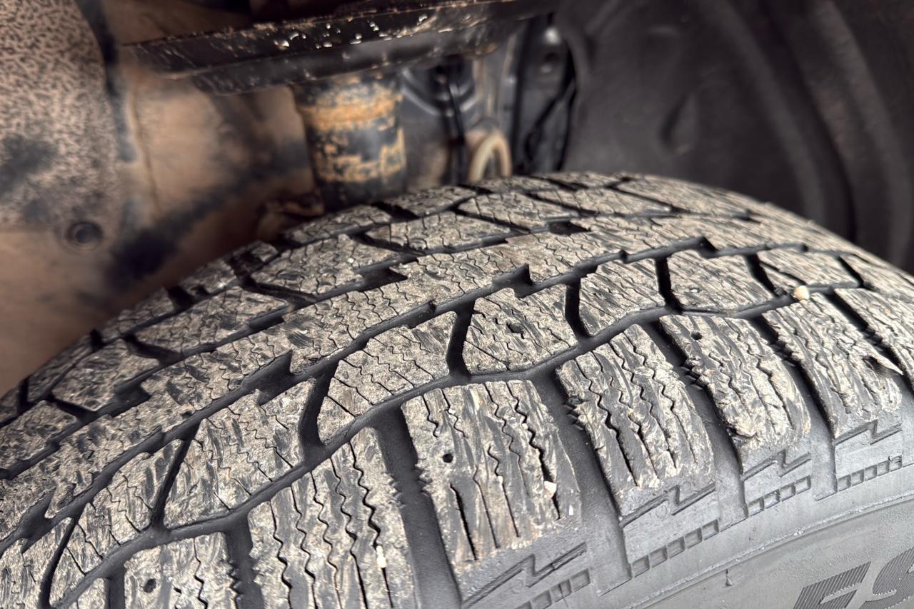 2023 Toyota RAV4 LE Photo