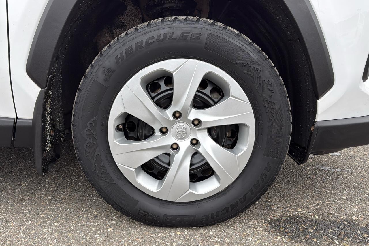 2023 Toyota RAV4 LE Photo