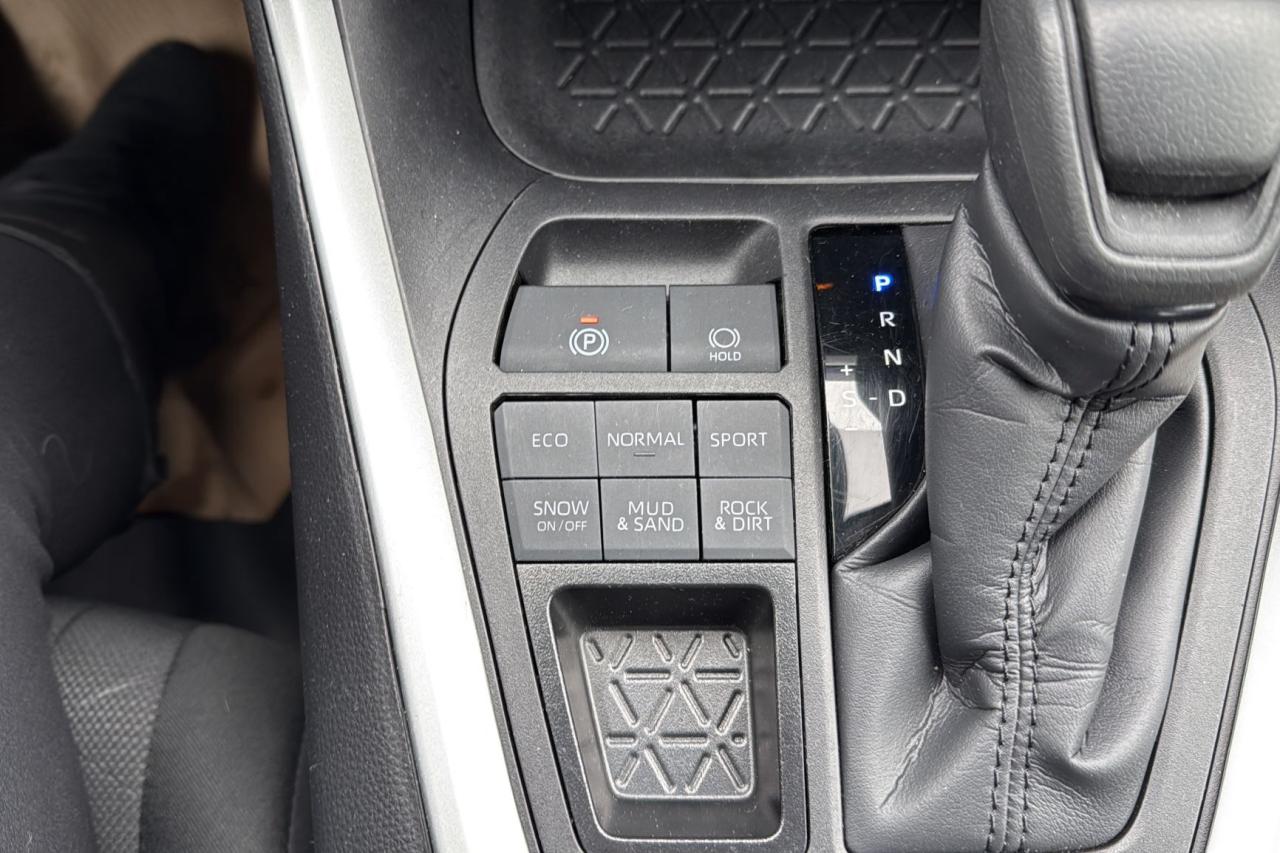 2024 Toyota RAV4 LE Photo